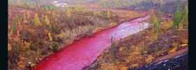 Red River for Global Stock Market