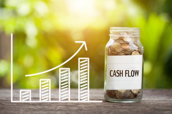 growth stock cashflow